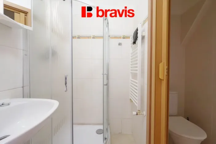 Pronájem bytu 1+kk, Brno, Palackého třída, 28 m2