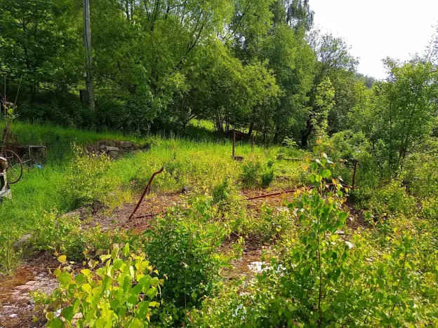 Prodej pozemku pro bydlení, Desná, Hutní, 2111 m2