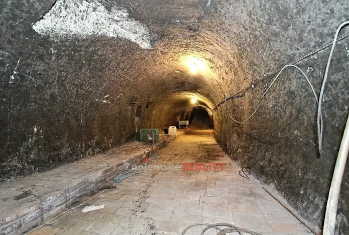 Prodej vinného sklepa, Chvalovice, 106 m2