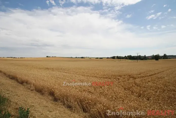 Prodej pole, Blanné, 24000 m2