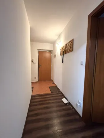 Pronájem bytu 2+1, Plzeň - Východní Předměstí, Božkovská, 57 m2