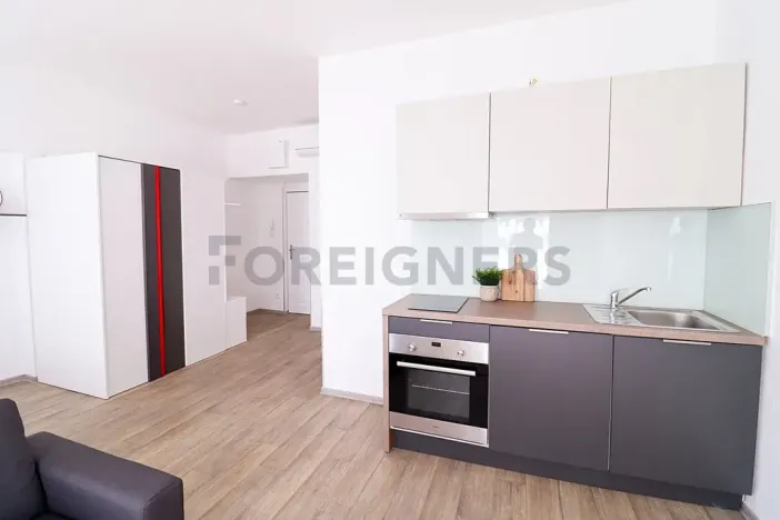 Pronájem bytu 1+kk, Brno, Bašty, 36 m2