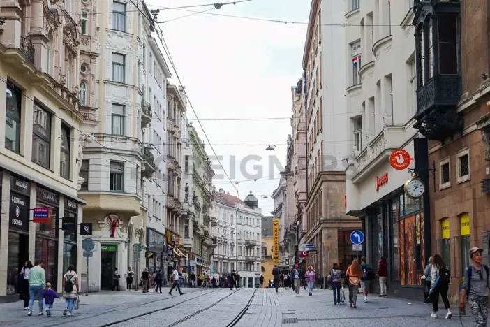 Pronájem bytu 1+kk, Brno, Bašty, 36 m2