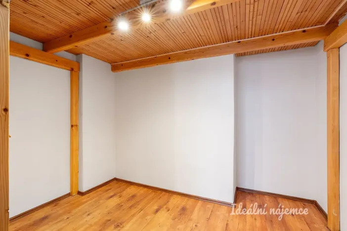 Pronájem bytu 1+1, Praha - Žižkov, Bořivojova, 49 m2