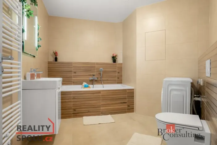 Pronájem bytu 2+kk, Plzeň - Jižní Předměstí, Železná, 52 m2