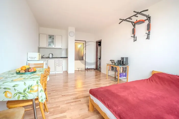 Prodej bytu 1+kk, Praha - Modřany, Daškova, 31 m2