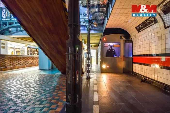 Pronájem obchodního prostoru, Ostrava - Hrabůvka, Horní, 250 m2