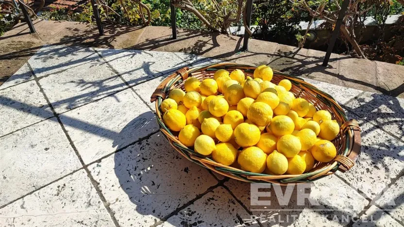 Pronájem vily, Corsanico, Itálie, Via di Casesi, 200 m2