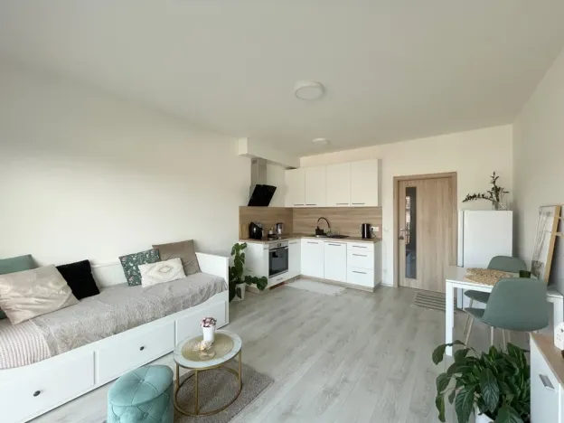 Pronájem bytu 1+kk, Olomouc, Edmunda Husserla, 29 m2