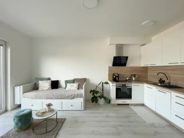 Pronájem bytu 1+kk, Olomouc, Edmunda Husserla, 29 m2