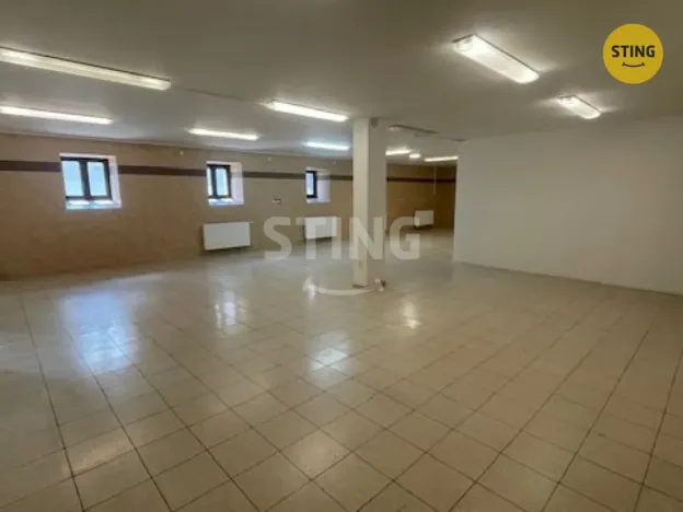 Pronájem skladu, Český Těšín, Ostravská, 230 m2