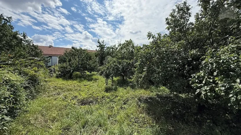 Prodej vinného sklepa, Pasohlávky, 54 m2