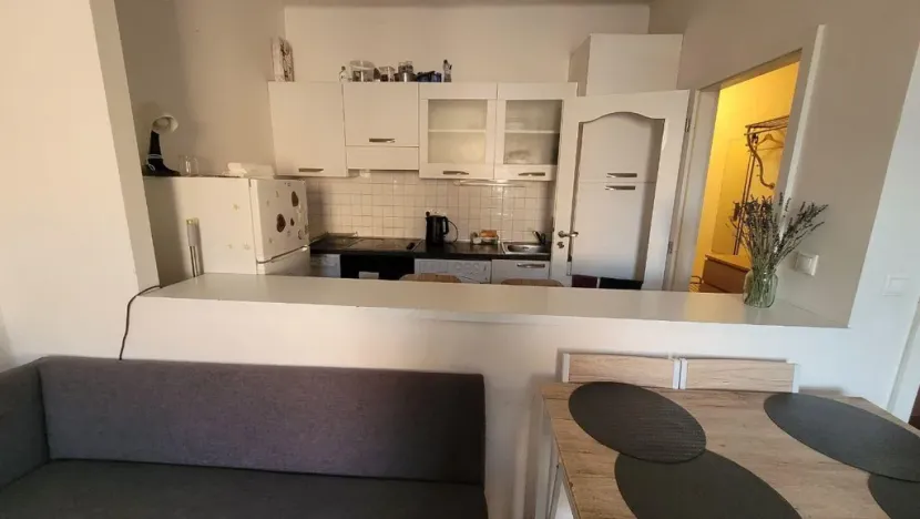 Pronájem bytu 1+kk, Praha - Nusle, Táborská, 40 m2