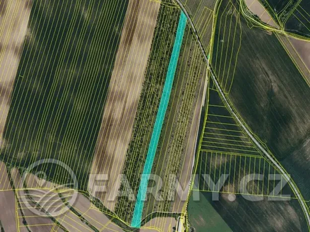 Prodej pole, Čejkovice, 194311 m2