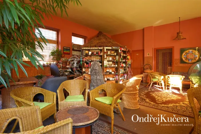 Prodej činžovního domu, Kladno, Osvoboz. pol. vězňů, 1000 m2