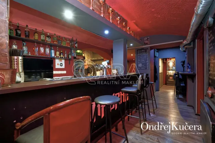 Prodej činžovního domu, Kladno, Osvoboz. pol. vězňů, 1000 m2