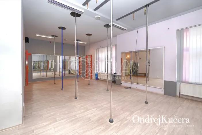 Prodej činžovního domu, Kladno, Osvoboz. pol. vězňů, 1000 m2