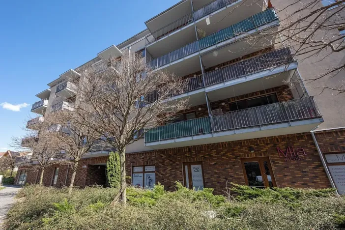 Prodej bytu 3+kk, Brno, U Leskavy, 100 m2