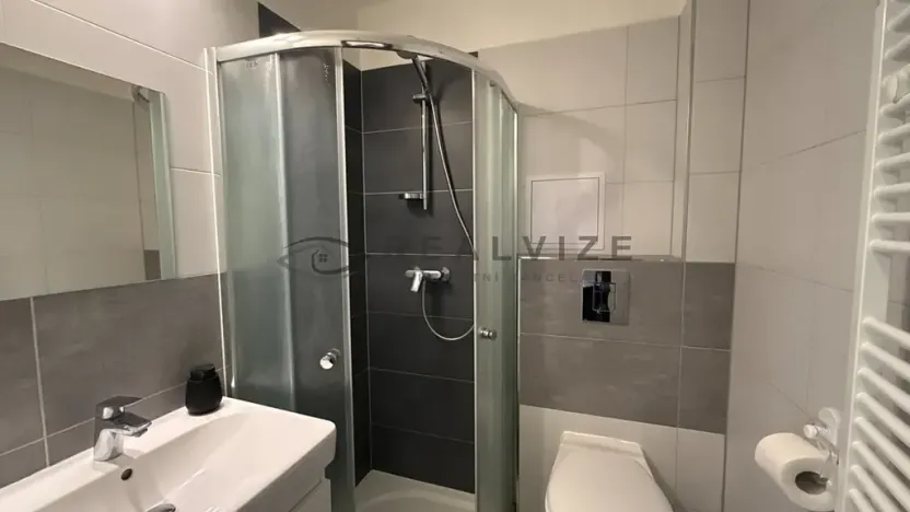 Prodej bytu 1+1, České Budějovice, Hálkova, 30 m2