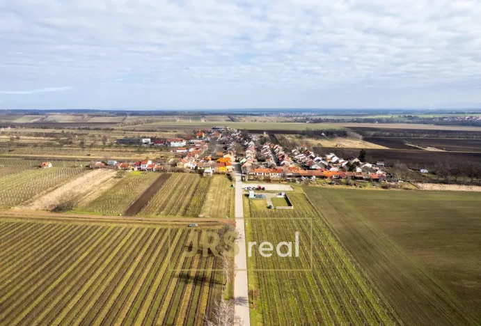 Prodej ubytování, Prušánky, Nechory, 145 m2