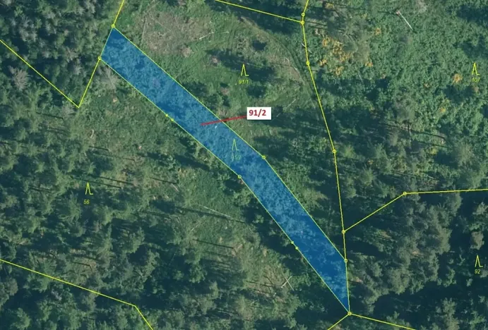 Dražba lesa, Pačejov, 1363 m2