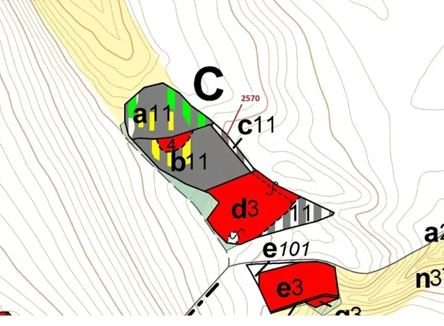 Dražba lesa, Písečná, 447 m2