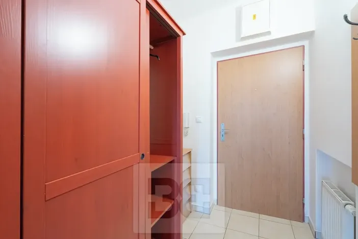 Pronájem bytu 1+1, České Budějovice, 51 m2