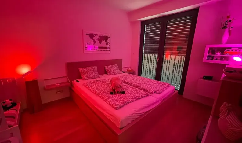 Pronájem bytu 2+kk, Praha - Žižkov, Olšanská, 69 m2