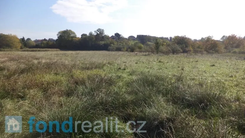 Prodej pole, Církvice, 2352 m2