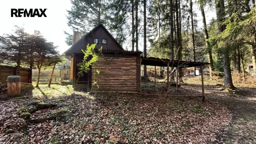 Prodej chaty, Proseč pod Křemešníkem, 40 m2