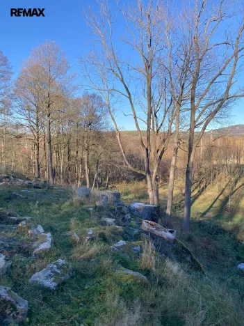 Prodej pozemku, Bílý Potok, 6645 m2