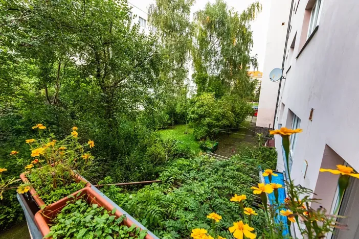 Prodej bytu 1+kk, Praha - Břevnov, Kolátorova, 39 m2