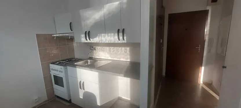 Pronájem bytu 1+1, Uherské Hradiště, Štěpnická, 33 m2