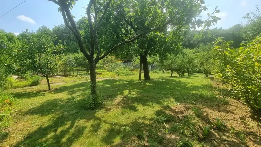 Pronájem zahrady, Brno, 438 m2