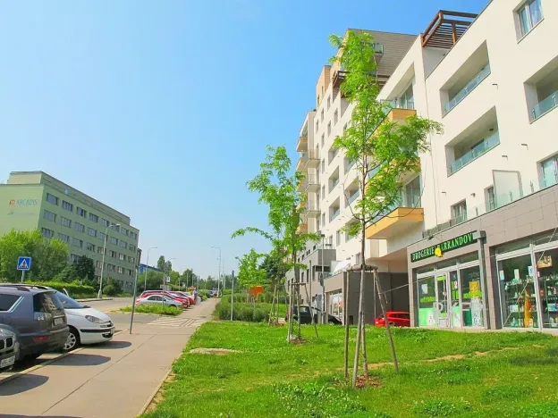 Pronájem bytu 1+kk, Praha - Hlubočepy, Geologická, 32 m2