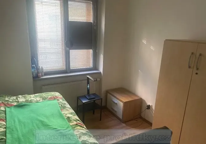 Pronájem pokoje, Praha - Libeň, Konšelská, 10 m2