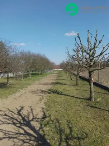 Prodej rodinného domu, Věžky, Věžky, 124 m2