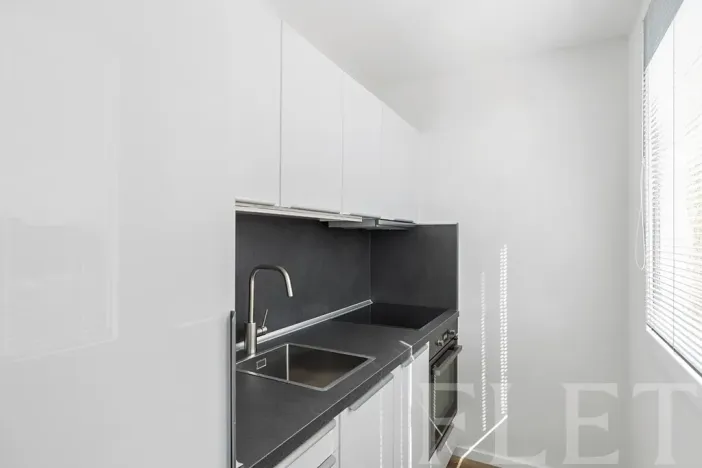 Pronájem bytu 1+kk, Praha - Prosek, Bílinská, 27 m2