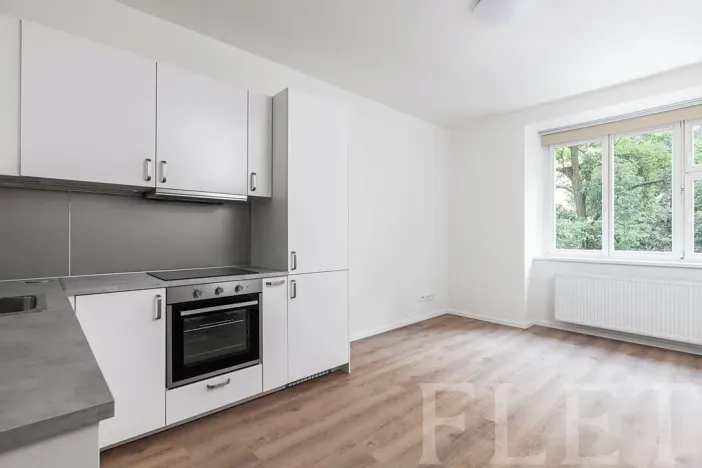 Pronájem bytu 2+kk, Praha - Žižkov, Baranova, 47 m2