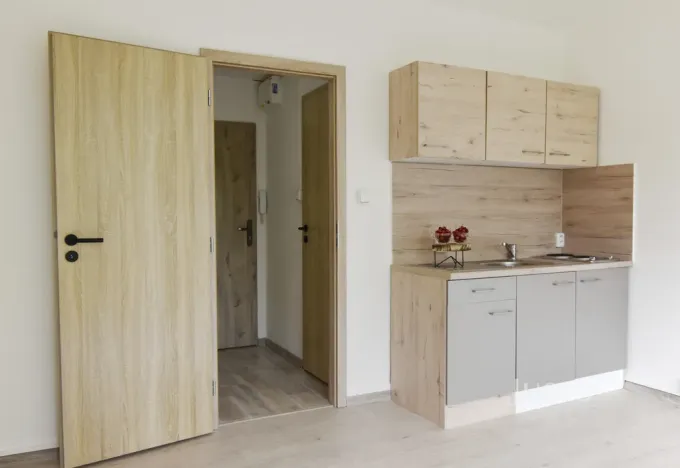 Pronájem bytu 1+kk, Ostrava - Hrabůvka, Krakovská, 22 m2