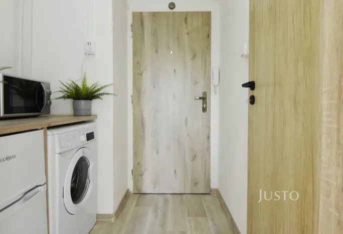 Pronájem bytu 1+kk, Ostrava - Hrabůvka, Krakovská, 22 m2