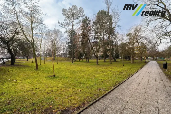 Prodej bytu 2+1, Lovosice, Sady pionýrů, 51 m2