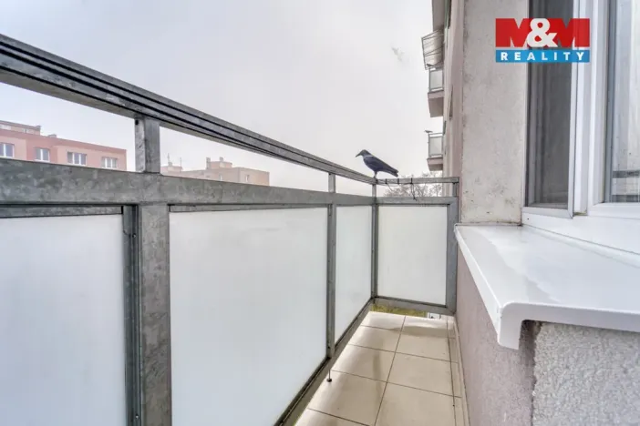 Prodej bytu 2+1, Plzeň - Východní Předměstí, Koterovská, 55 m2