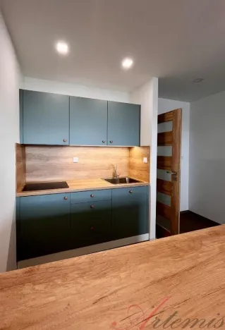 Pronájem bytu 1+kk, Ostrava - Moravská Ostrava, Lechowiczova, 27 m2