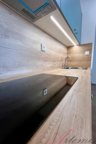 Pronájem bytu 1+kk, Ostrava - Moravská Ostrava, Lechowiczova, 27 m2