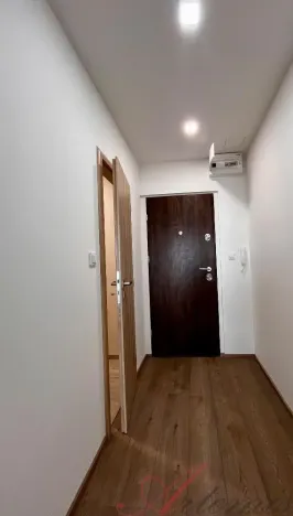 Pronájem bytu 1+kk, Ostrava - Moravská Ostrava, Lechowiczova, 27 m2