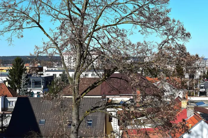 Prodej bytu 2+1, Plzeň - Lobzy, Masarykova, 88 m2