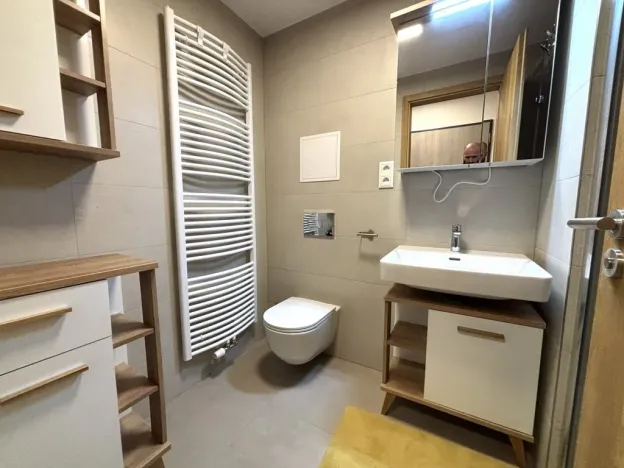 Pronájem bytu 1+kk, Plzeň - Východní Předměstí, Pallova, 37 m2