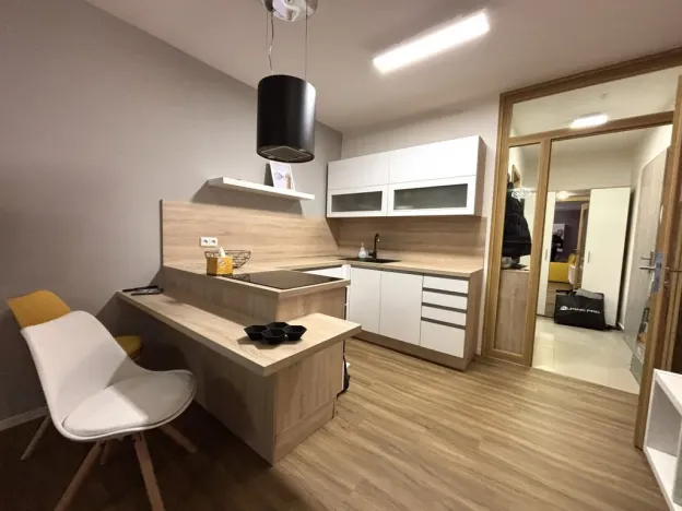 Pronájem bytu 1+kk, Plzeň - Východní Předměstí, Pallova, 37 m2