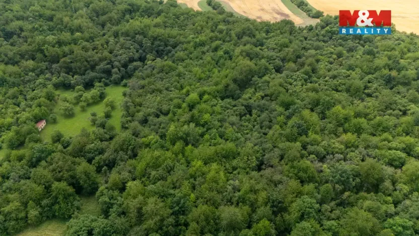 Prodej louky, Chabařovice - Roudníky, 46243 m2